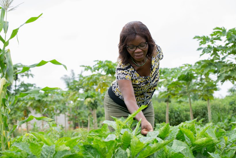 AWARD WOMEN IN AGRICULTURE LEADERSHIP PROGRAM FELLOWSHIP 2026
