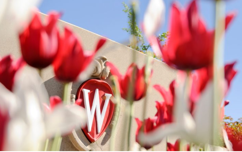 King-Morgridge Scholars Program (University of Wisconsin-Madison, USA)