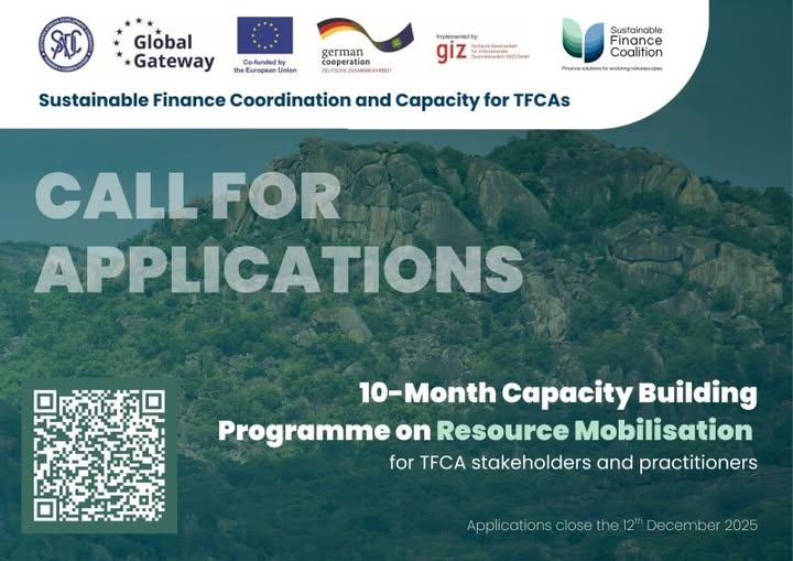 Resource Mobilisation Capacity Building Programme (SADC)